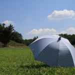 日傘に使うなら折りたたみと長傘はどっちがいいの?