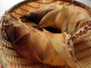 水煮したたけのこを美味しく保存する方法とは？