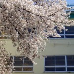 入学祝いのお返しは必要なの?覚えておきたいマナーについて