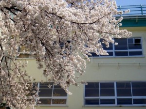 入学祝いのお返しは必要なの?覚えておきたいマナーについて