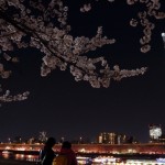 屋形船で花見を楽しみたいのですが団体ではなくても大丈夫?