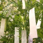 七夕飾りを折り紙を使って簡単にできる作り方|すぐに作れる