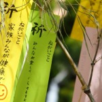 七夕の願い事が叶う方法|伝説に込められた意味と正しい書き方