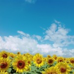 お盆休みの過ごし方なんですが子供とどう過ごせばいいのかな?