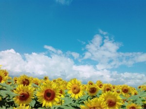 お盆休みの過ごし方なんですが子供とどう過ごせばいいのかな？