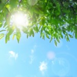 お中元や暑中見舞いや残暑見舞いの時期はいつごろ出すものなの?