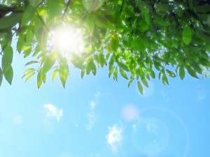 お中元や暑中見舞いや残暑見舞いの時期はいつごろ出すものなの？