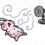 夏バテの症状に効果的な食事ってなんだろう?