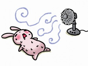 夏バテの症状に効果的な食事ってなんだろう？