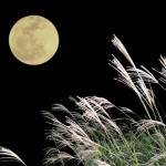 中秋の名月とは どんな月のこと?いつ?満月の日じゃないの?