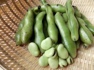 そら豆の皮食べれるんでしょうか?薄皮やさやとかってどうするの?