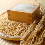 お米1升は何kgになるの?どうして水とは1カップの重さが違うの?