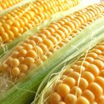 とうもろこしを電子レンジでチンする時間はどれくらいがよいのか?