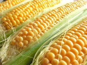 とうもろこしを電子レンジでチンする時間はどれくらいがよいのか？