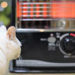 ストーブにガソリンをいれると事故になるのはどうして?