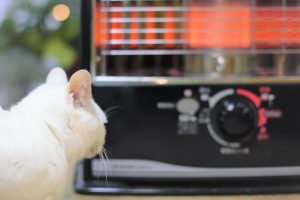 ストーブにガソリンをいれると事故になるのはどうして？