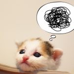 猫にまたたびって興奮しすぎるのですが危険なんでしょうか?
