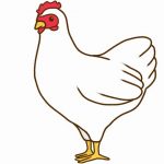 ささみと胸肉の違いって?部位?味?栄養?価格?