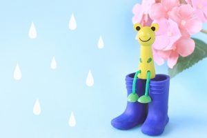 梅雨の仕組みってどうなってるの？なぜ雨がずっと降るのだろう？