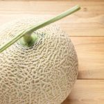 メロンの苦味って場所により苦いのはなんか原因があるの?
