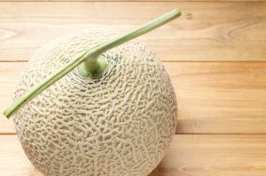 メロンの苦味って場所により苦いのはなんか原因があるの？