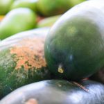 冬瓜の栄養や効能はどうなの?カロリーって高いの?