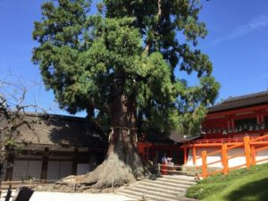 春日大社ってパワースポットなの?体調不良で重たく感じます