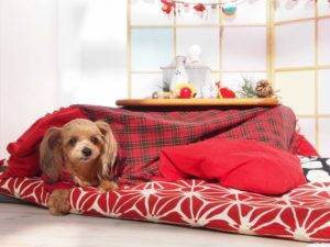 コタツのコードが壊れたので交換するのはどの種類でも使えるの？